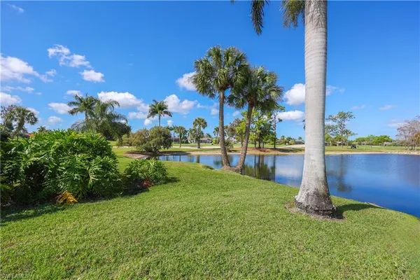 a view of a garden with a tree