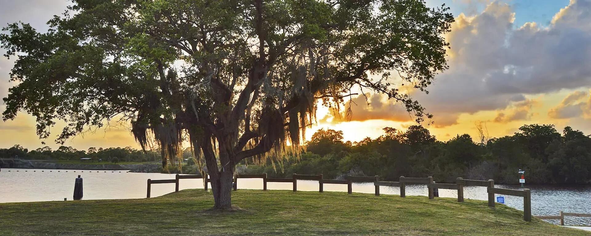 2912 Southwest Porpoise Circle Stuart, FL 34997 - Photo 35 of 36 a view of park with trees