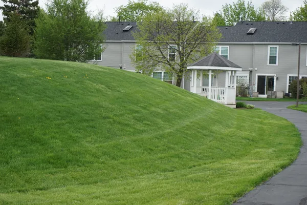 a view of a house with a yard and a large tree