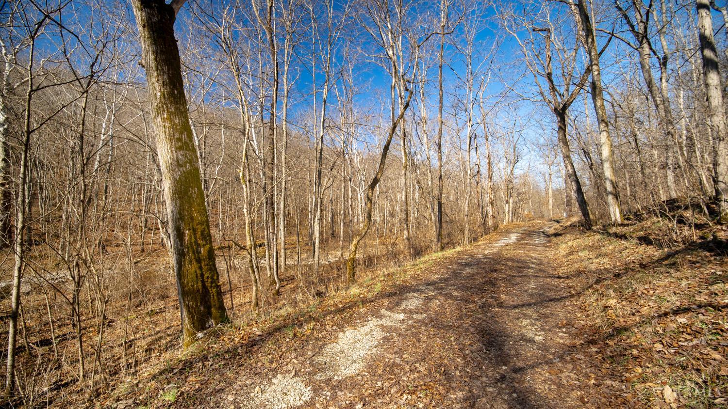 0 Flaugher Road Ripley, OH 45167 - Photo 10 of 13