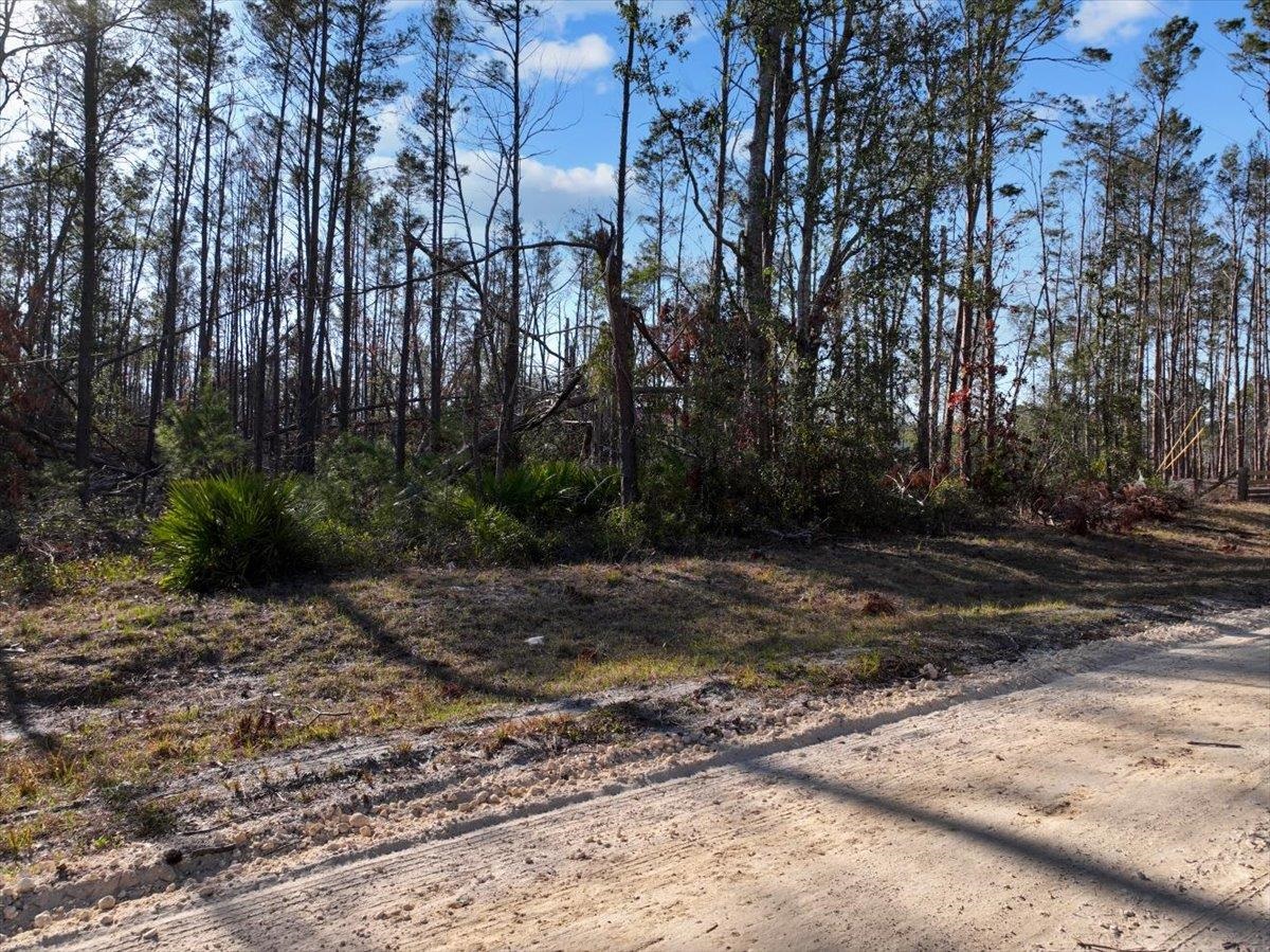 18825 Key Deer Road Perry, FL 32348 - Photo 10 of 17 Gallery Image 10