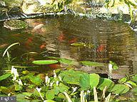 67 Buckhorn Road Salem, NJ 08079 - Photo 15 of 17