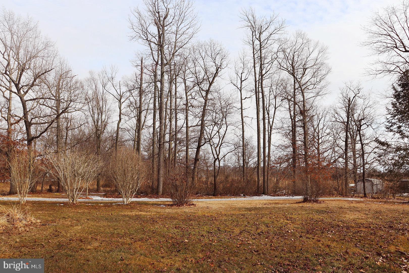 67 Buckhorn Road Salem, NJ 08079 - Photo 10 of 17