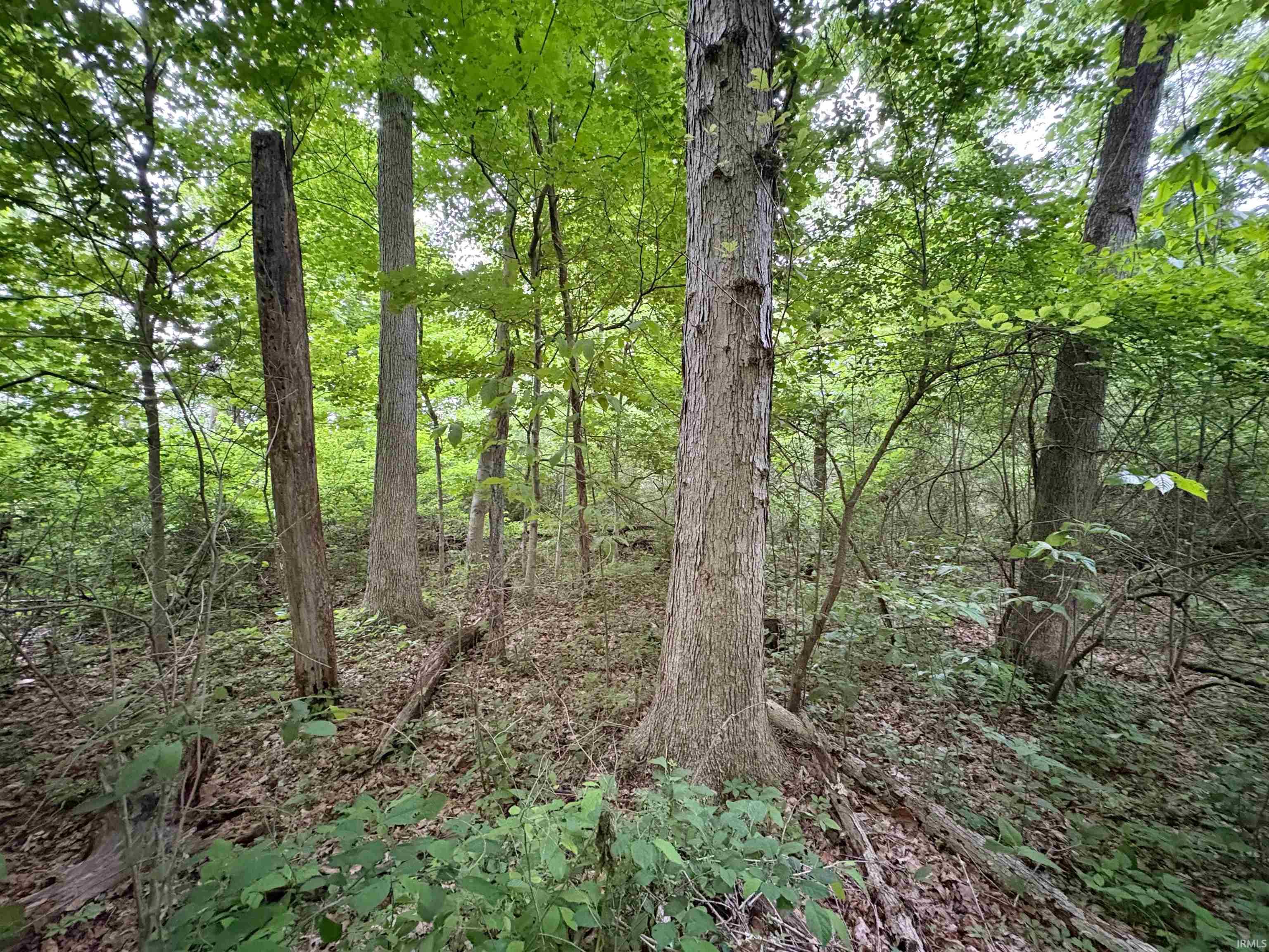 0 North Portersville Road Jasper, IN 47546 - Photo 12 of 23 Gallery Image 12