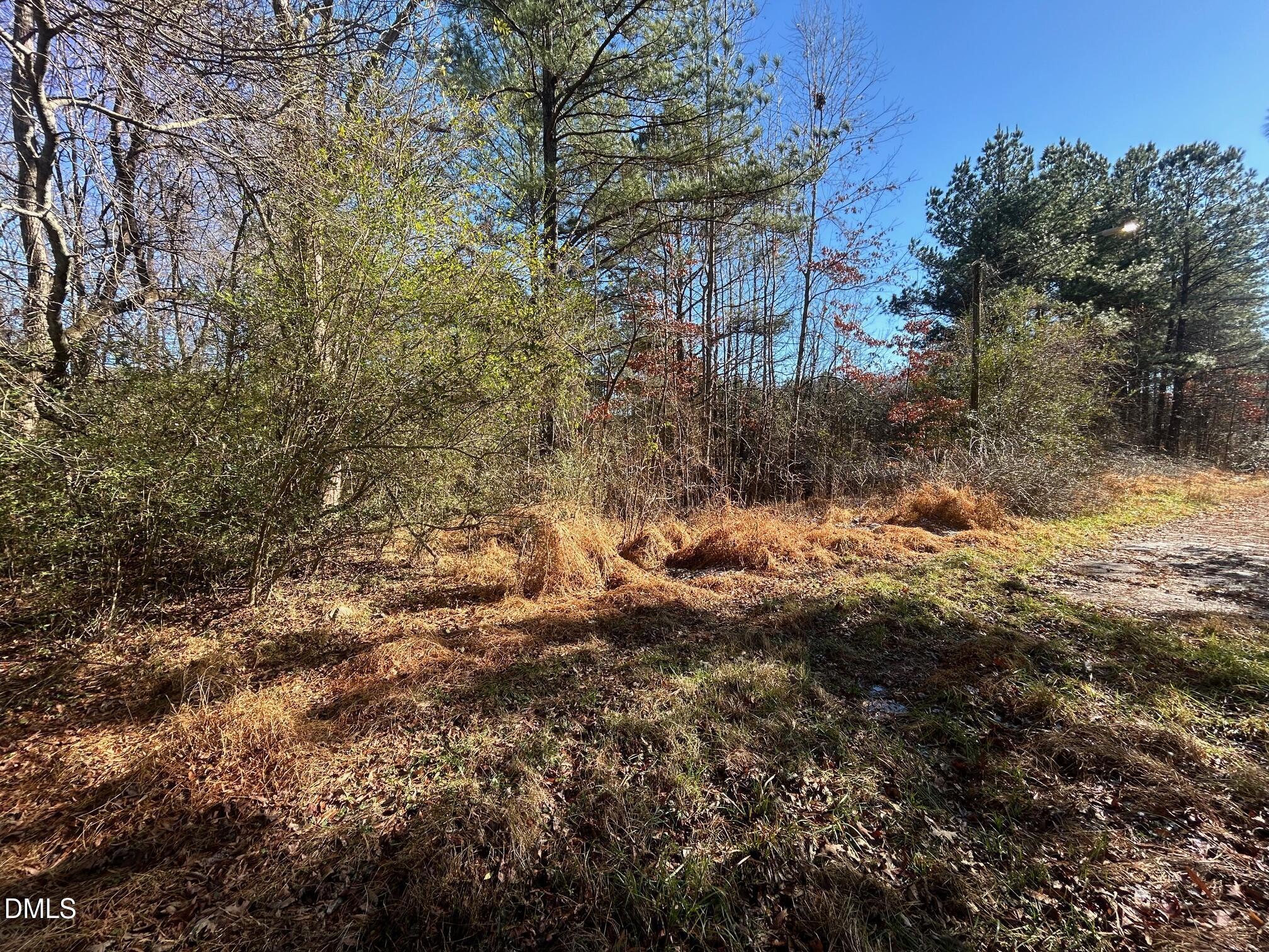 Lot 16 Dove Road Oxford, NC 27565 - Photo 6 of 7