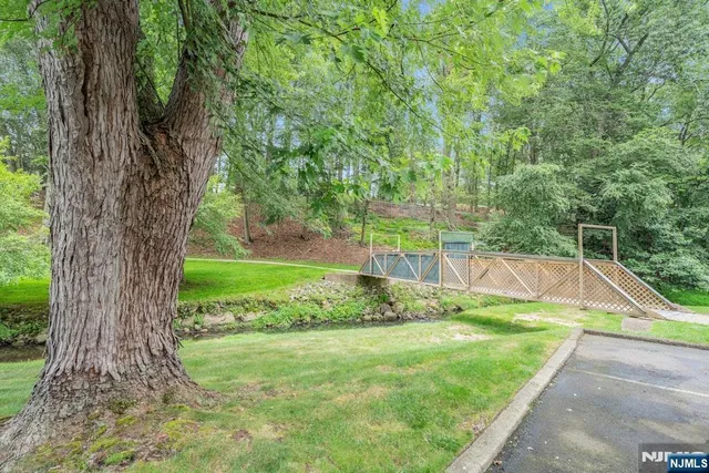 a view of a backyard with a small cabin