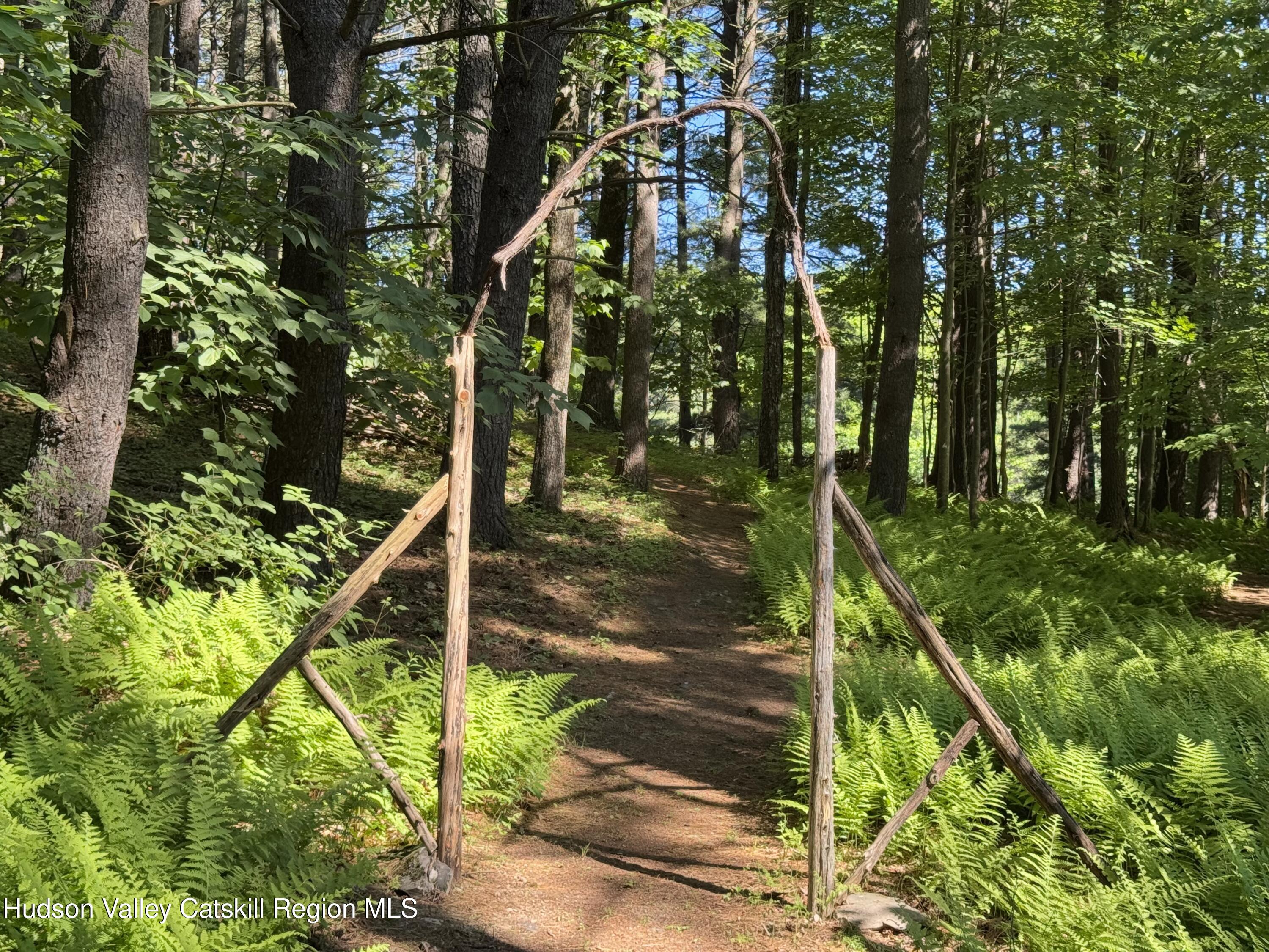 177 Webber Road Earlton, NY 12058 - Photo 17 of 50 a picture of trees