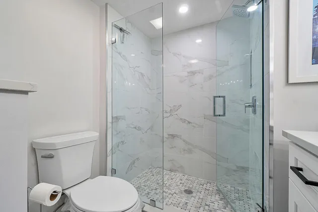 a bathroom with a toilet and a shower