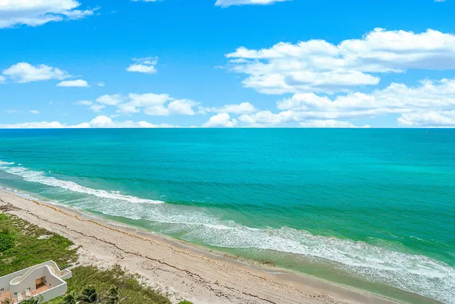 a view of a yard with an ocean space
