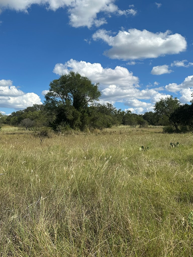 0 Ranch Road 1723 Mason, TX 76856 - Photo 13 of 50 a view of a lake with outdoor space
