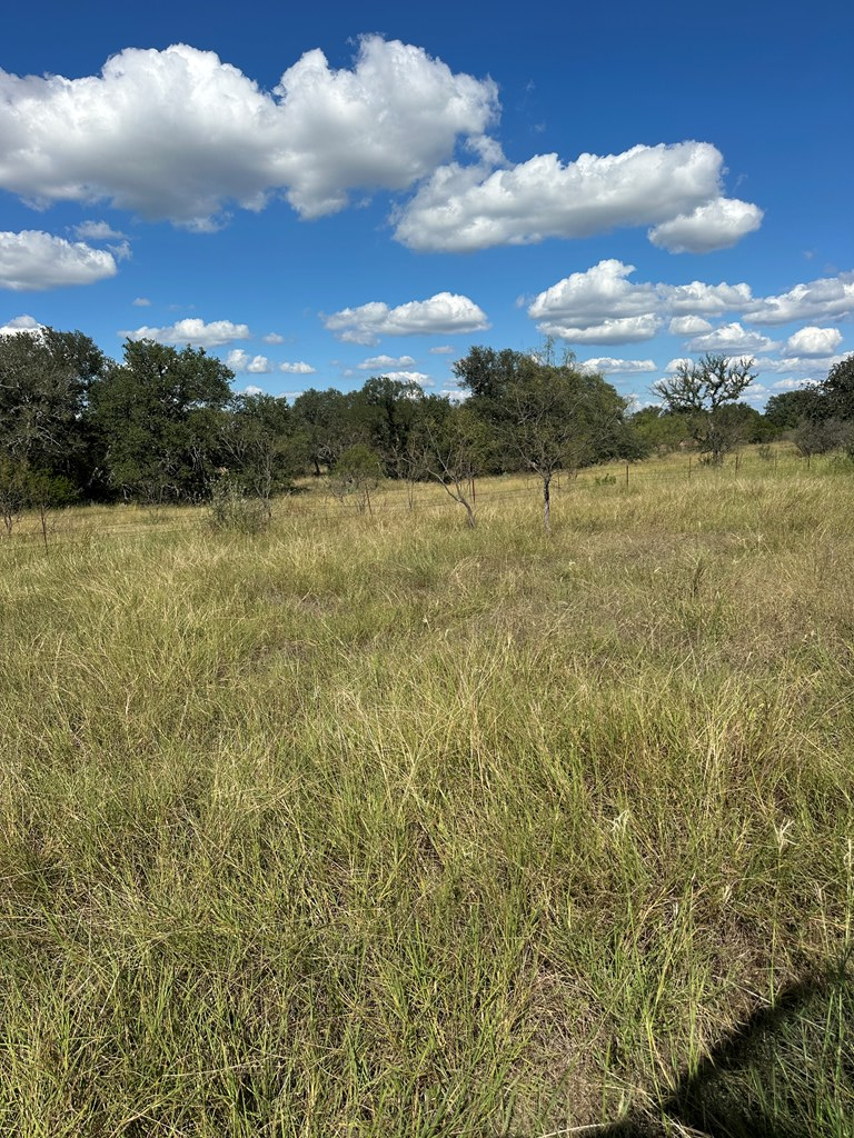 0 Ranch Road 1723 Mason, TX 76856 - Photo 15 of 50 a view of lake