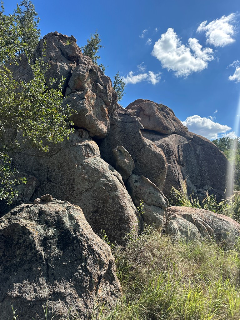 0 Ranch Road 1723 Mason, TX 76856 - Photo 16 of 50 a view of a yard