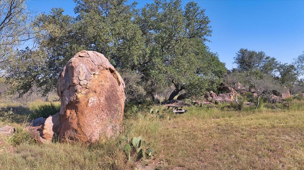 0 Ranch Road 1723 Mason, TX 76856 - Photo 19 of 50 a backyard of a house with lots of green space