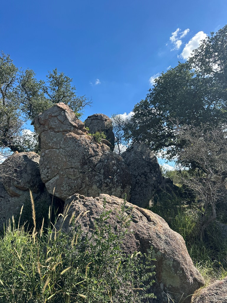 0 Ranch Road 1723 Mason, TX 76856 - Photo 20 of 50 a view of a house