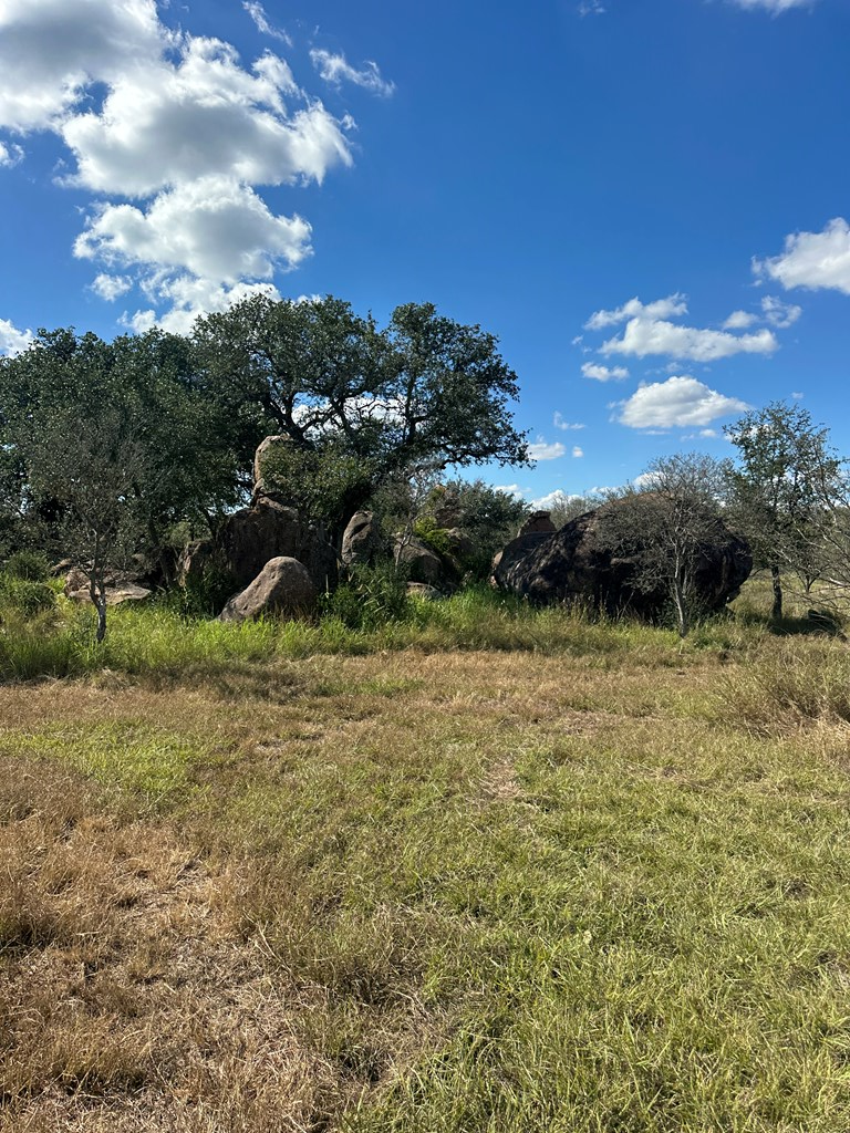 0 Ranch Road 1723 Mason, TX 76856 - Photo 23 of 50 a view of a field