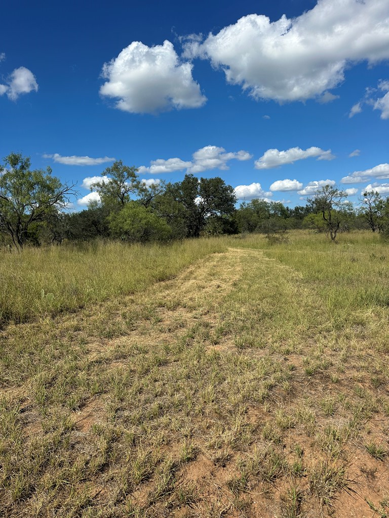 0 Ranch Road 1723 Mason, TX 76856 - Photo 28 of 50