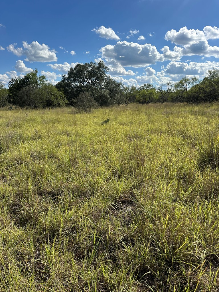 0 Ranch Road 1723 Mason, TX 76856 - Photo 3 of 50 a view of a lake with houses in the back