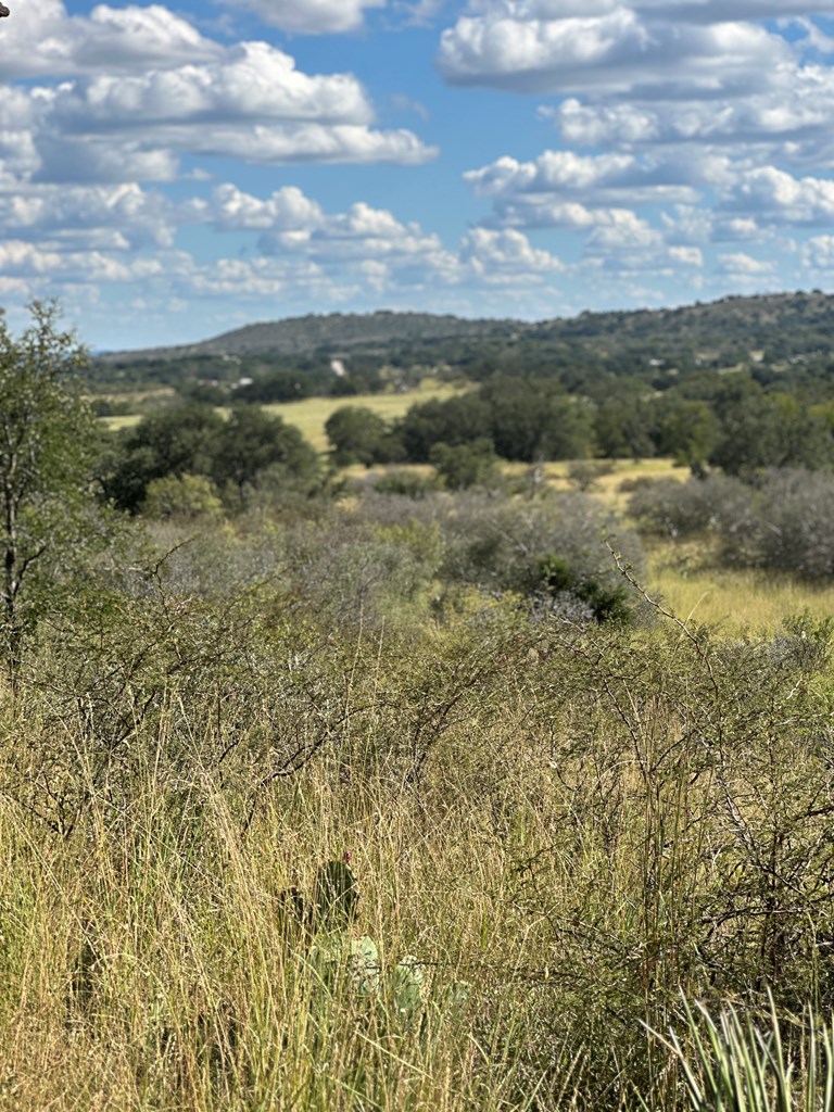 0 Ranch Road 1723 Mason, TX 76856 - Photo 4 of 50