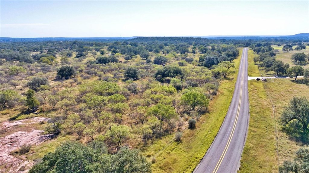 0 Ranch Road 1723 Mason, TX 76856 - Photo 44 of 50 a view of a forest