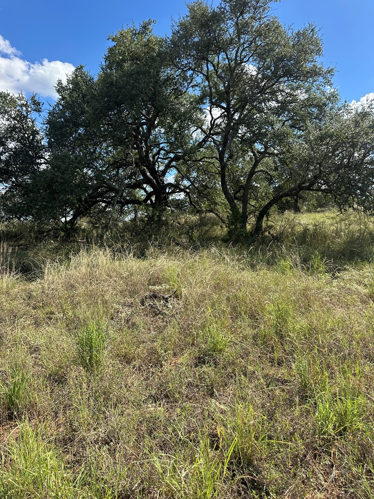 0 Ranch Road 1723 Mason, TX 76856 - Photo 8 of 50 a view of a lake with a tree