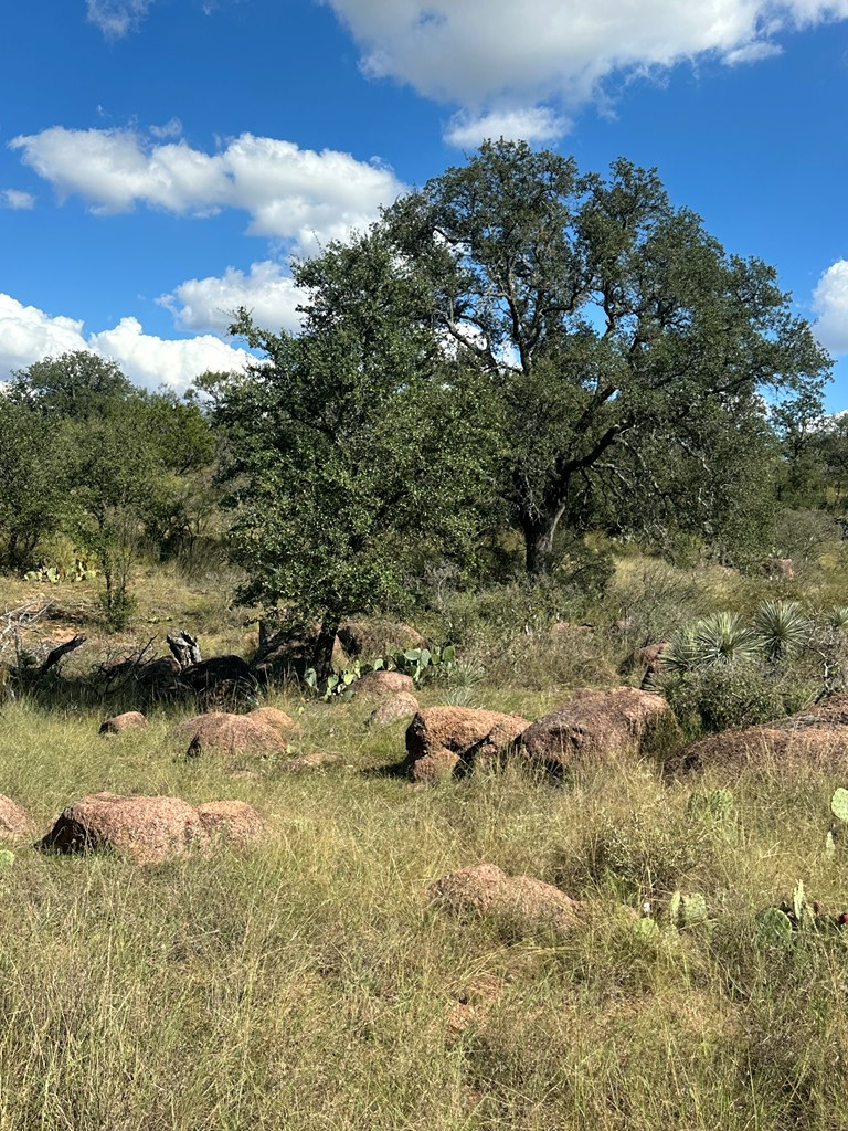 0 Ranch Road 1723 Mason, TX 76856 - Photo 9 of 50 a view of a lake with houses