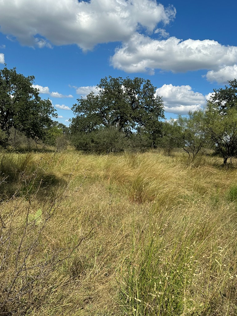 0 Ranch Road 1723 Mason, TX 76856 - Photo 10 of 50 a view of a lake