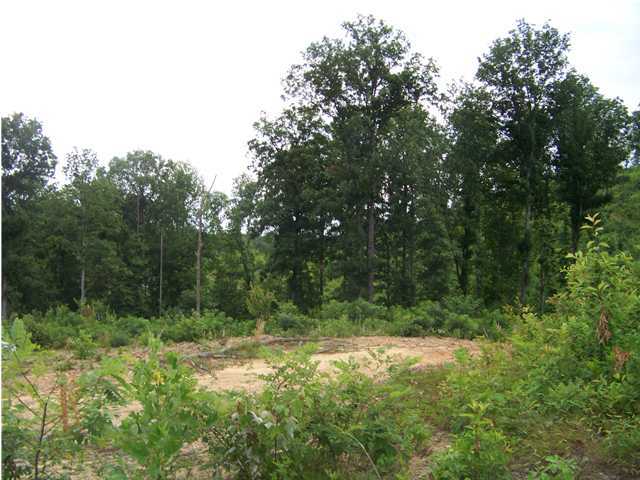 36 Jackson Point Road Sewanee, TN 37380 - Photo 9 of 10 Additional Photo