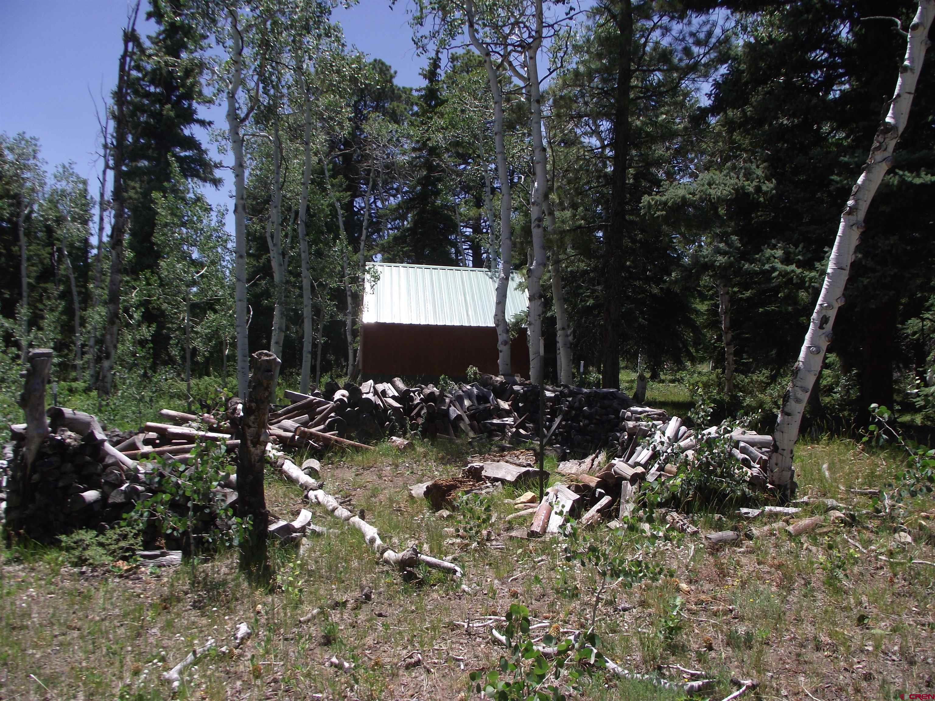 15283 Spring Creek Road Montrose, CO 81403 - Photo 7 of 40