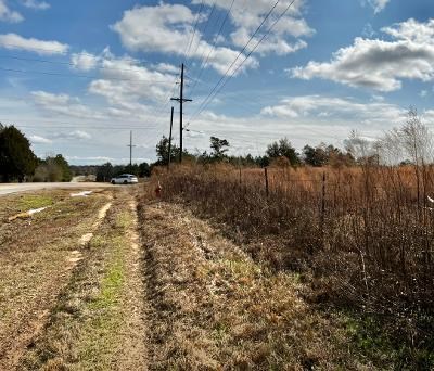 0 St Highway Slocomb, AL 36375 - Photo 3 of 8