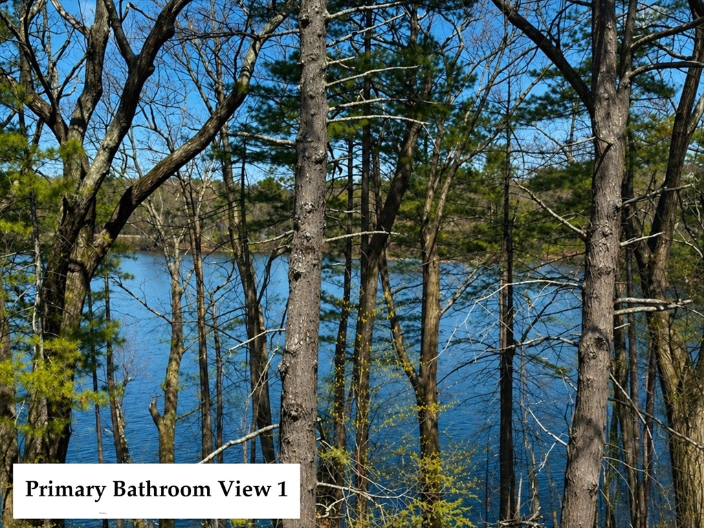 31 Arcadia Road Natick, MA 01760 - Photo 11 of 20 a picture of a tree