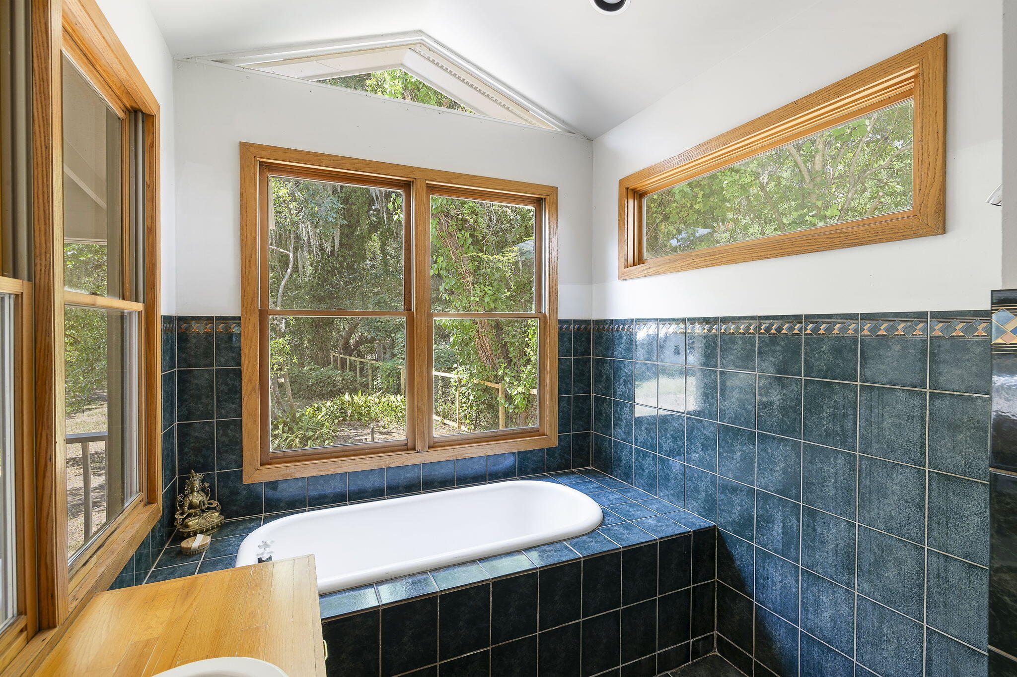 2518 Grace Chapel Road Wadmalaw Island, SC 29487 - Photo 23 of 40 Large Soaking Tub