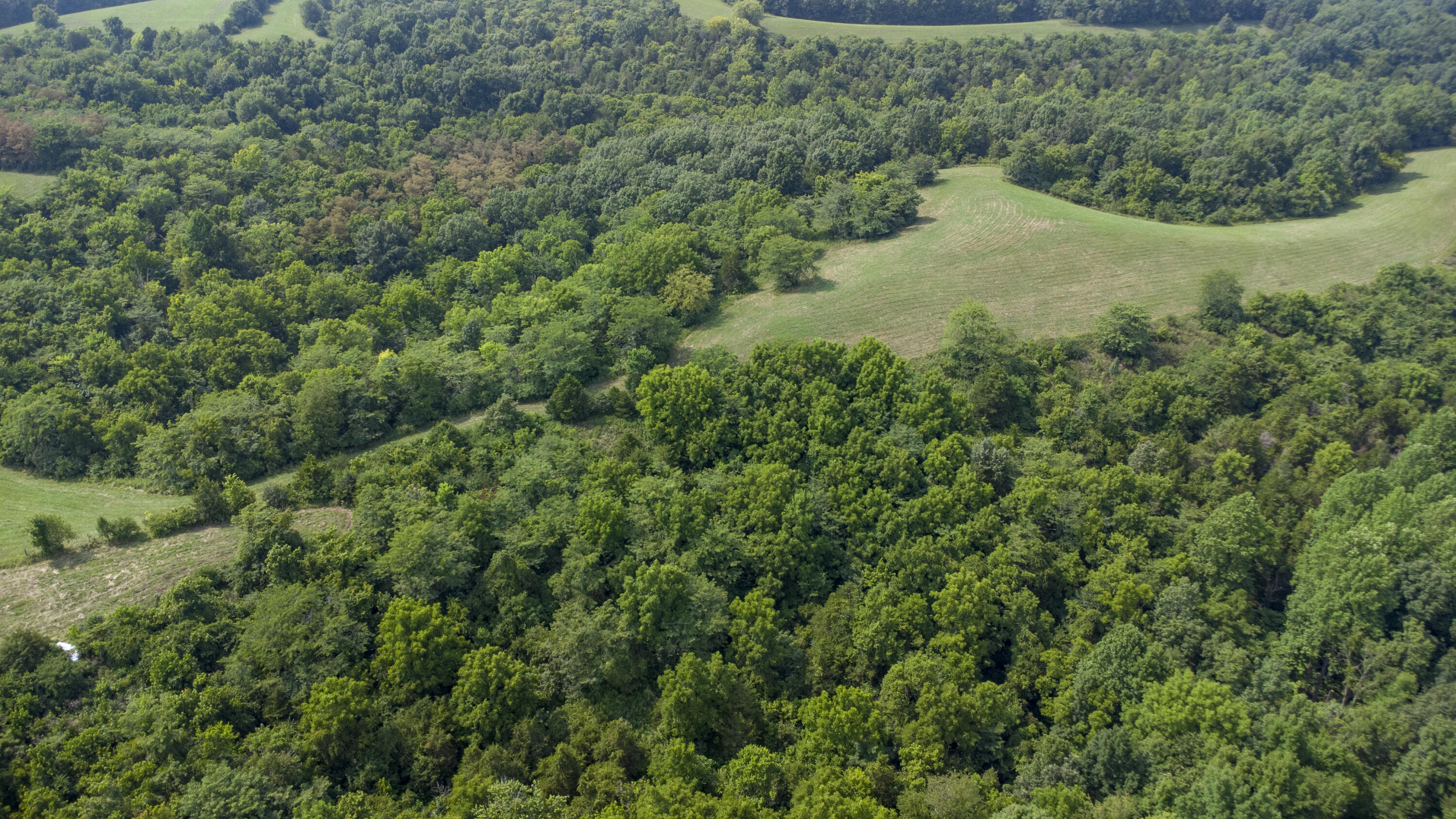 1635 Owenton Road Corinth, KY 41010 - Photo 11 of 35 Gallery Image 11
