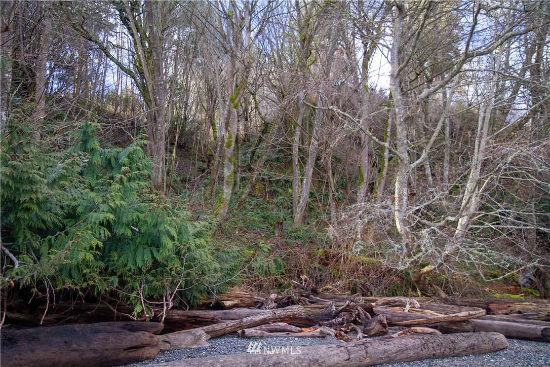 3428 Green Road Oak Harbor, WA 98277 - Photo 36 of 38 Gallery Image 36