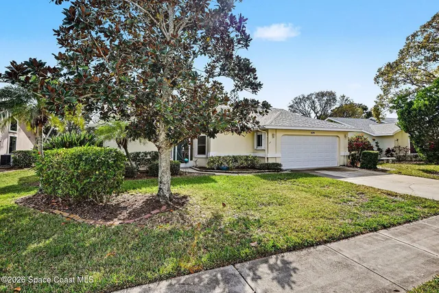 a view of backyard with tree