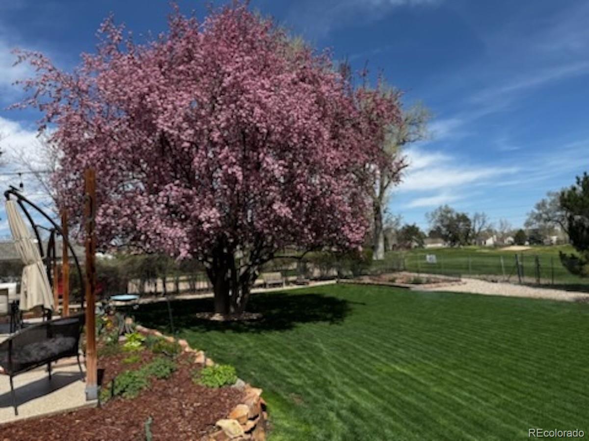 930 Reed Court Lakewood, CO 80214 - Photo 22 of 28