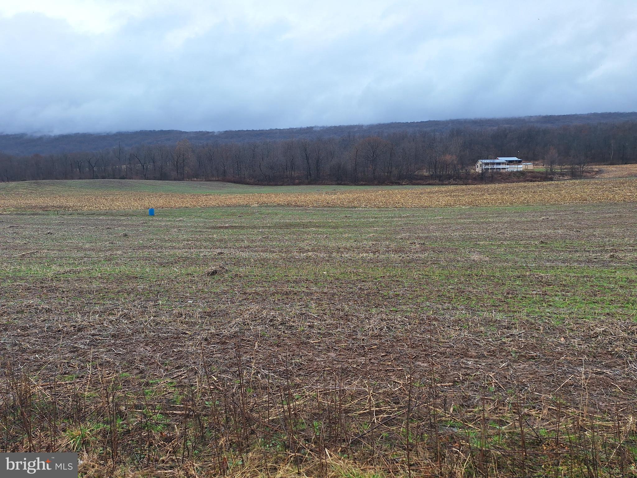 5172 Raccoon Valley Road Millerstown, PA 17062 - Photo 2 of 5