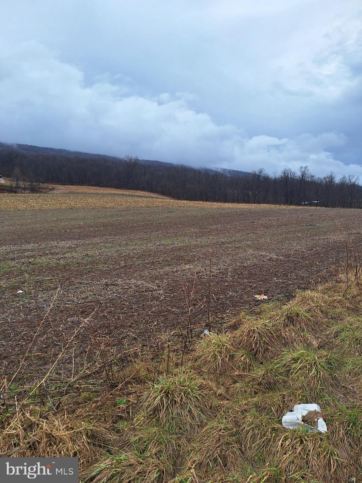 5172 Raccoon Valley Road Millerstown, PA 17062 - Photo 4 of 5