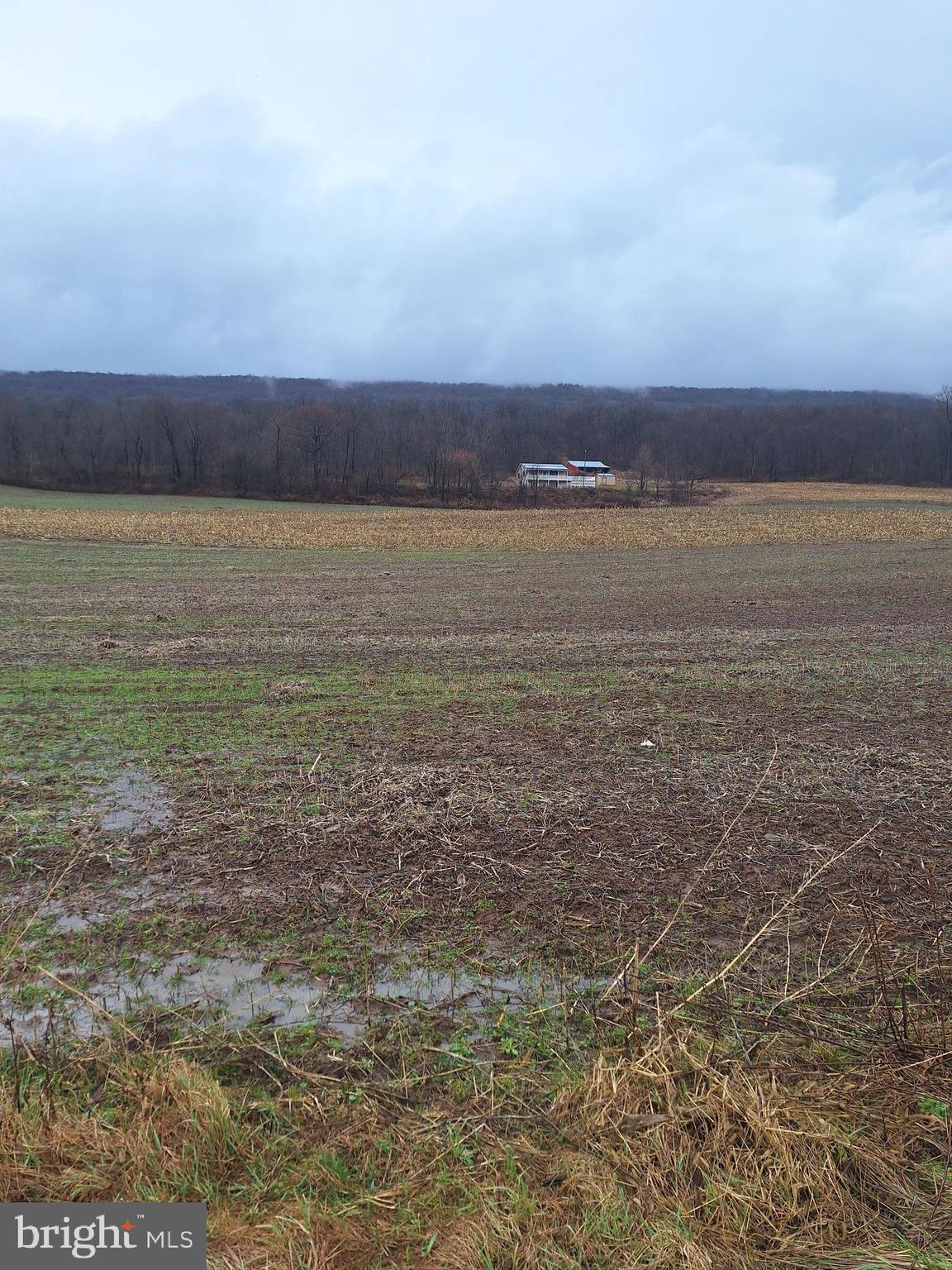 5172 Raccoon Valley Road Millerstown, PA 17062 - Photo 5 of 5