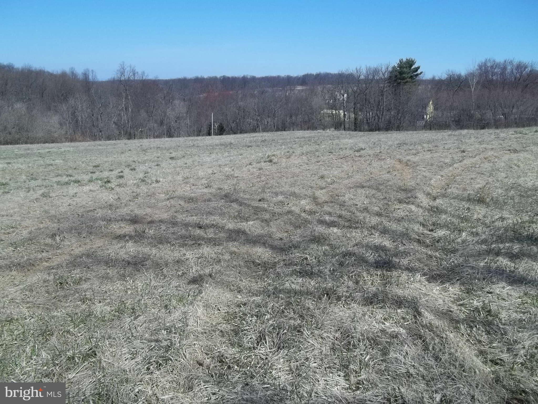7519 Talbot Run Road Mount Airy, MD 21771 - Photo 4 of 9 Exterior (General)