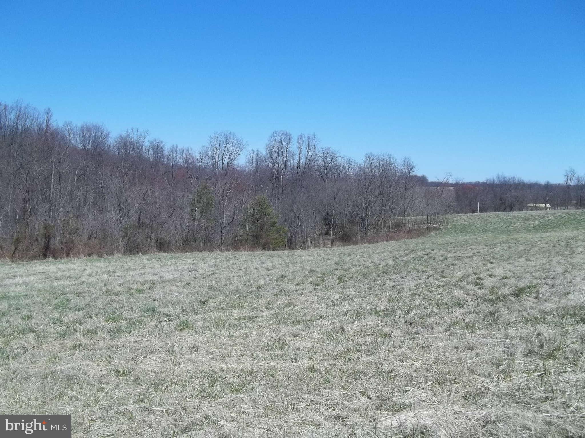 7519 Talbot Run Road Mount Airy, MD 21771 - Photo 6 of 9 Exterior (General)