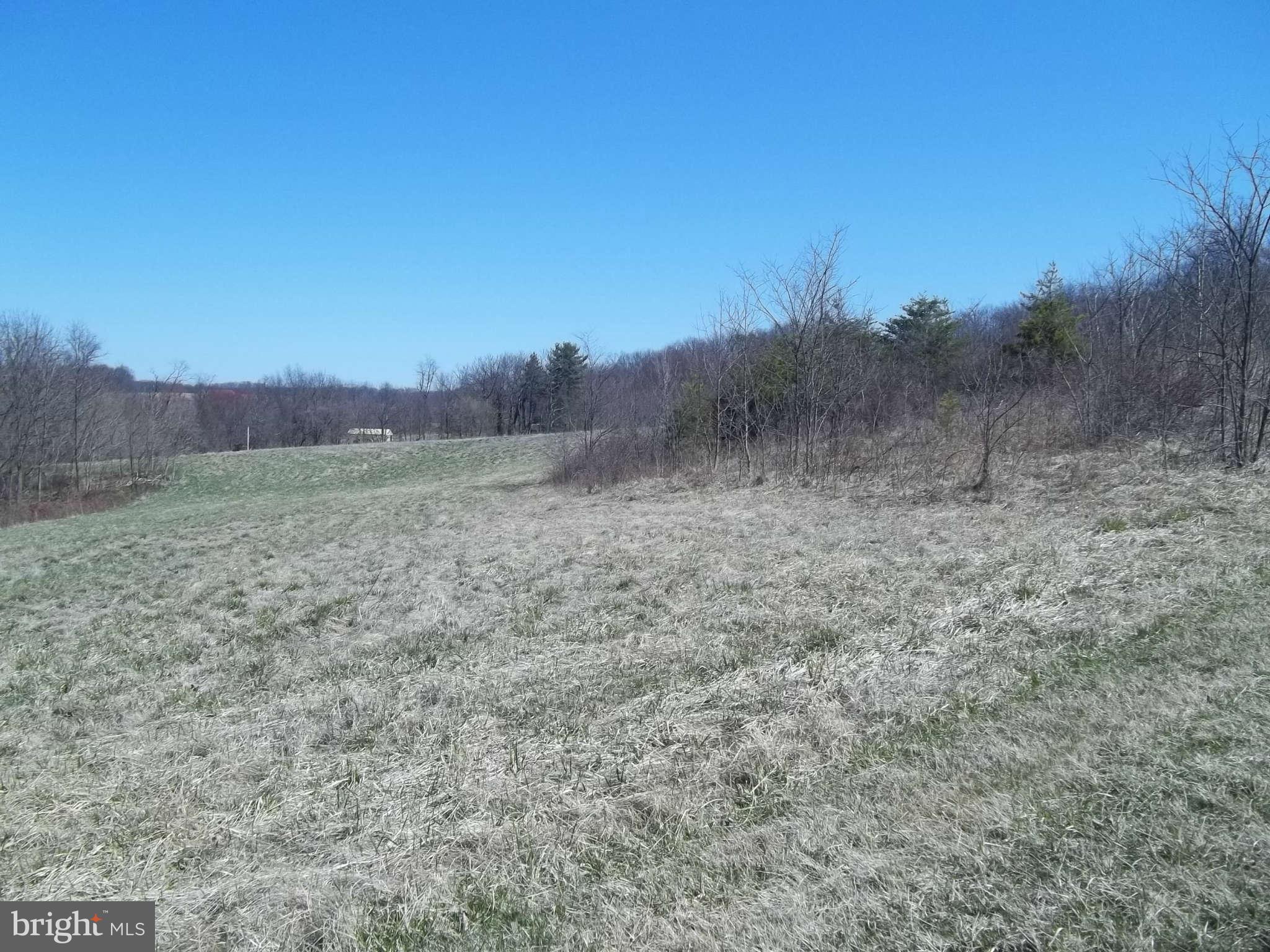 7519 Talbot Run Road Mount Airy, MD 21771 - Photo 7 of 9 Exterior (General)