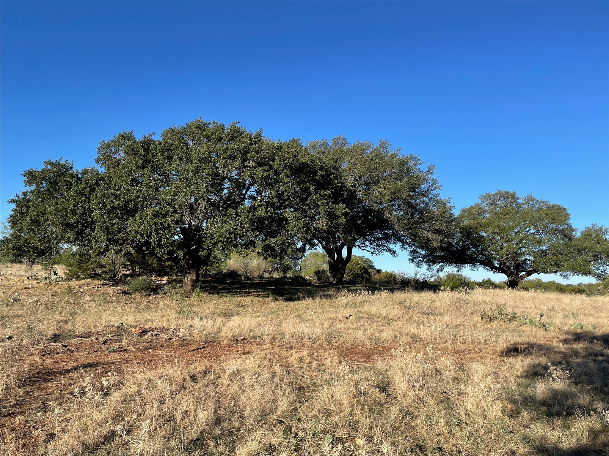 657 Whitetail Trail San Saba, TX 76877 - Photo 4 of 8 a view of a yard