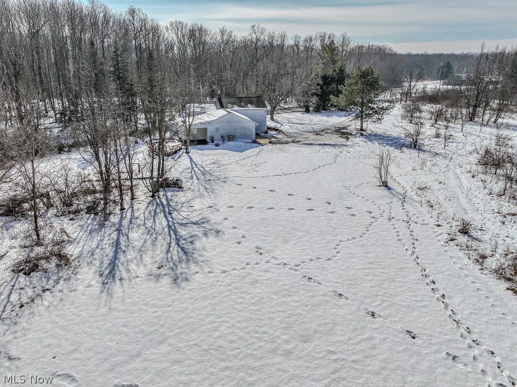 12567 Girdled Road Painesville, OH 44077 - Photo 30 of 36 Gallery Image 30