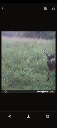 $175,000 | 999 Moores Chapel Road, Greenfield, TN 38230