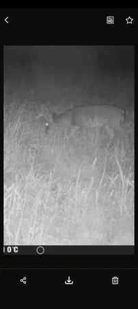 $175,000 | 999 Moores Chapel Road, Greenfield, TN 38230