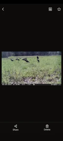 $175,000 | 999 Moores Chapel Road, Greenfield, TN 38230