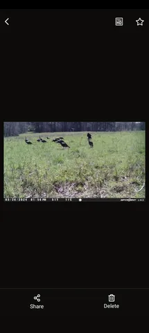 a view of swimming pool from a yard