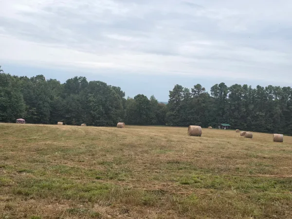 $175,000 | 999 Moores Chapel Road, Greenfield, TN 38230