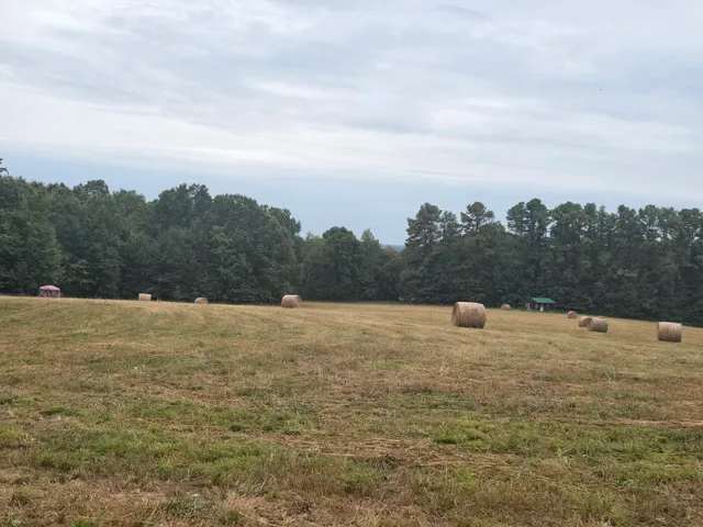 a view of a lake view