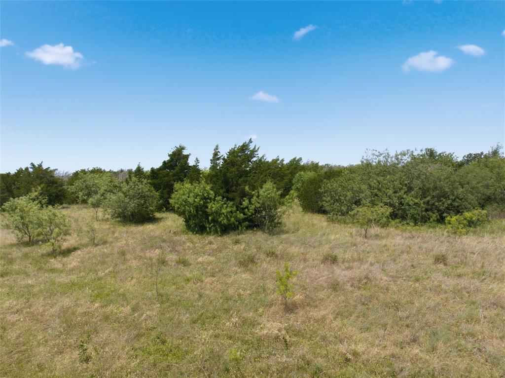663 North Katy Road Elm Mott, TX 76640 - Photo 11 of 25 Breathtaking undeveloped land featuring varied natural vegetation and mature trees